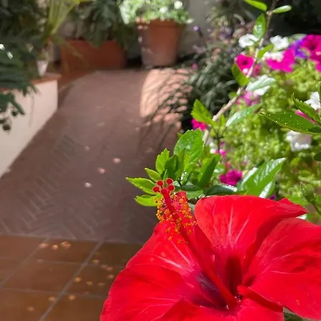 Oda ve Kahvaltı Piccolo Bed