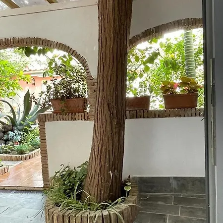 Piccolo Bed Redang Island