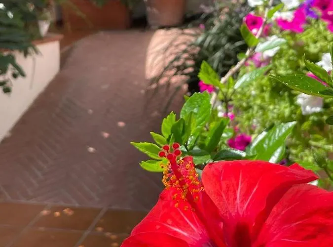 住宿加早餐酒店 Piccolo Bed