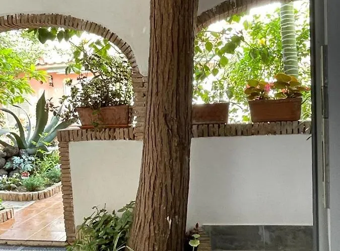 Piccolo Bed 프로치다